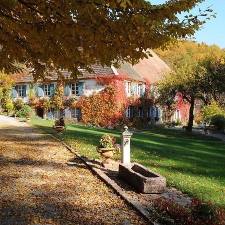 Le Schaeferhof Hotell Murbach Exteriör bild