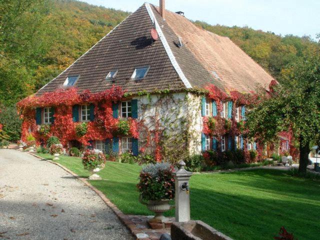 Le Schaeferhof Hotell Murbach Exteriör bild